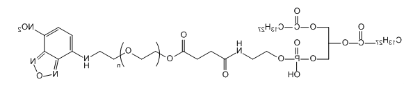 DMPE-PEG-NBD 1,2-十四酰基磷脂酰乙醇胺-聚乙二醇-硝基苯恶二唑