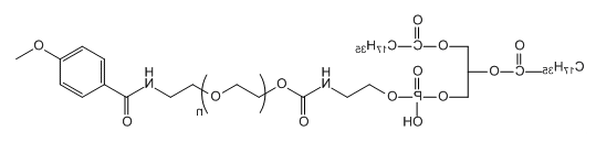 DSPE-PEG-SP2-AA的基本信息 