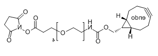 BCN-endo-PEG4-SPA的介绍