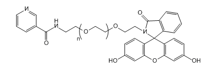 FITC-PEG-Niacin 荧光素-聚乙二醇-烟酸