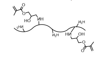 Silk Fibroin Methacryloyl（SilMA）