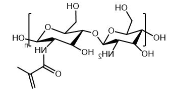 Chitosan-MA 甲基丙烯酰化羧甲基壳聚糖