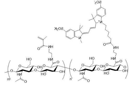 Cy3-HA-MA Cy3标记甲基丙烯酸酯化透明质酸