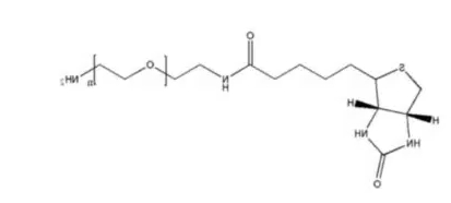    氨基PEG生物素 