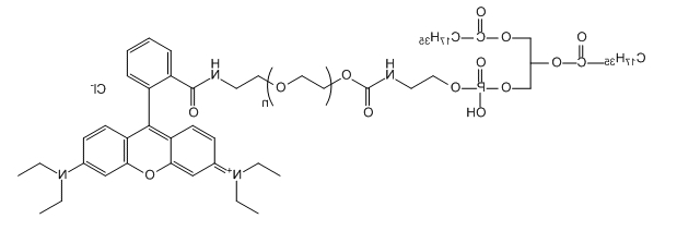 RB-PEG-DSPE；罗丹明B-聚乙二醇-二硬脂酰基磷脂酰乙醇胺