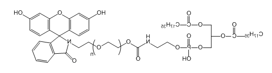 DSPE-PEG-FITC；二硬脂酰基磷脂酰乙醇胺-聚乙二醇-荧光素