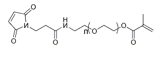 MA-PEG-Mal；α-甲基丙烯酸酯基-ω-马来酰亚胺基聚乙二醇