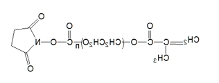 MA-PEG-SC;α-甲基丙烯酸酯基-ω-琥珀酰亚胺碳酸酯基聚乙二醇 MA-PEG-SC;α-甲基丙烯酸酯基-ω-琥珀酰亚胺碳酸酯基聚乙二醇