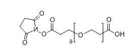 COOH-PEG6-SPA；COOH-PEG6-NHS的介绍