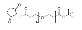 CAS ： 1835759-75-5；OtBu-PEG4-SPA；丙酸叔丁酯-四聚乙二醇-丙酸琥珀酰亚胺酯