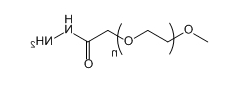 mPEG-HZ；mPEG-Hydrazide；甲氧基聚乙二醇酰肼
