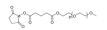 mPEG-Succinimidyl Glutarate ester；甲氧基聚乙二醇琥珀酰亚胺戊二酸酯