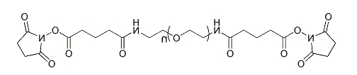 GAS-PEG-GAS；α,ω-二戊二酰胺琥珀酰亚胺酯基聚乙二醇