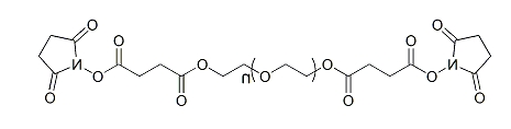 SS-PEG-SS；α,ω-二琥珀酰亚胺丁二酸酯基聚乙二醇