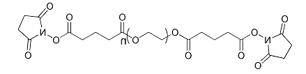 SG-PEG-SG；α,ω-二琥珀酰亚胺戊二酸酯基聚乙二醇