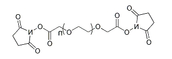 SCM-PEG-SCM；α,ω-二琥珀酰亚胺羧甲基酯聚乙二醇