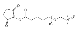 N3-PEG-SVA；叠氮-聚乙二醇-琥珀酰亚胺戊酸酯