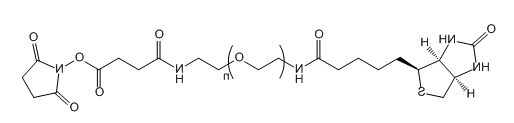 Biotin-PEG-SAS；生物素-聚乙二醇-琥珀酰胺琥珀酰亚胺酯