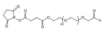 CHO-PEG-SS；Aldehyde-PEG-Succinimidyl Succinate ester