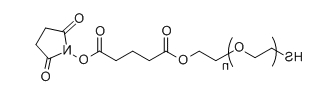 SH-PEG-SG；Thiol-PEG-Succinimidyl Glutarate ester