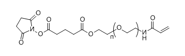 ACA-PEG-SG；Acrylamide-PEG-Succinimidyl Glutarate ester