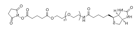 Biotin-PEG-SG；Biotin-PEG-Succinimidyl Succinate ester