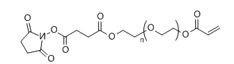 AC-PEG-SS；Acrylate-PEG-Succinimidyl Succinate ester