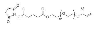 AC-PEG-SG；Acrylate-PEG-Succinimidyl Glutarate ester