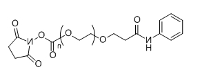 Ph-PEG-NHS；Phenyl-PEG-NHS；苯基-聚乙二醇-活性酯