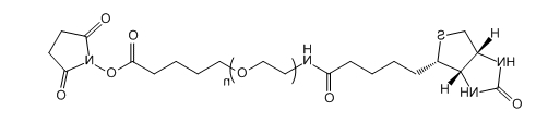 Biotin-PEG-SVA；生物素-聚乙二醇-琥珀酰亚胺戊酸酯
