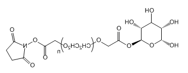 Gala-PEG-SCM；半乳糖-聚乙二醇-琥珀酰亚胺羧甲基酯