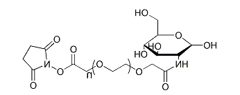 Gluc-PEG-SCM；应用于医学研究