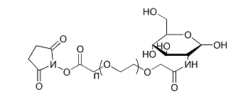 Gluc-PEG-SCM；应用于医学研究；PEG衍生物