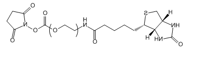 Biotin-PEG-NHS；Biotin-PEG-SC；生物素-聚乙二醇-活性酯