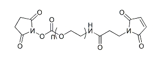 Mal-PEG-SC；Mal-PEG-NHS；马来酰亚胺-聚乙二醇-活性酯