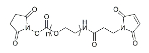 Mal-PEG-SC；Mal-PEG-NHS；马来酰亚胺-聚乙二醇-活性酯