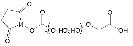 NHS-PEG-COOH；SC-PEG-COOH；活性酯-聚乙二醇-羧基