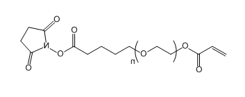 Acrylate-PEG-Succinimidyl valerate；丙烯酸酯-聚乙二醇-琥珀酰亚胺戊酸酯