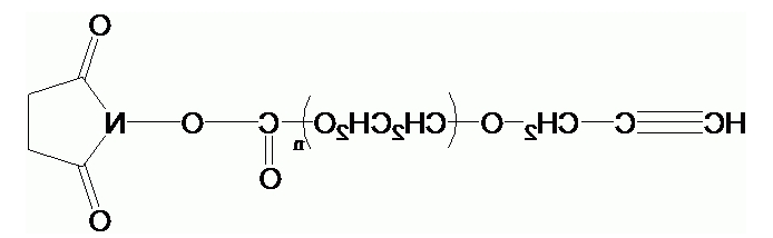AlKyne-PEG-SC；α-炔基-ω-琥珀酰亚胺碳酸酯基聚乙二醇