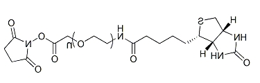 Biotin-PEG-SCM；生物素-聚乙二醇-琥珀酰亚胺羧甲基酯