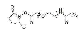 ACA-PEG-SCM；α-丙烯酰胺-ω-琥珀酰亚胺碳酸酯基聚乙二醇