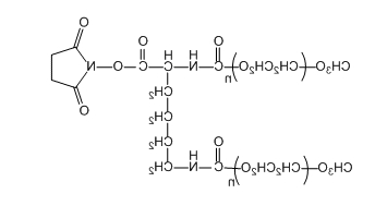 2-ArmPEG-SC；2-ArmPEG-NHS；二臂/支 PEG-琥珀酰亚胺酯