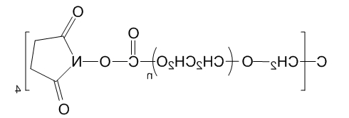 4-ArmPEG-SC；4-ArmPEG-NHS；四臂聚乙二醇琥珀酰亚胺酯