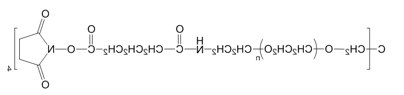 4-ArmPEG-GAS；四臂聚乙二醇戊二酰胺琥珀酰亚胺酯