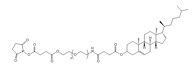 CLS-PEG-SS；Cholesterol-PEG-Succinimidyl Succinate ester