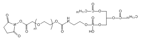 DSPE-PEG-SCM;应用于医学研究;PEG衍生物 DSPE-PEG-SCM;应用于医学研究;PEG衍生物