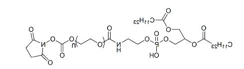 DLPE-PEG-SC；1,2-二月桂酰磷脂酰乙醇胺-聚乙二醇-活性酯