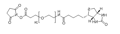 CAS：365441-71-0；Biotin-PEG24-SPA；Biotin-PEG24-NHS