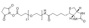 CAS ：1253286-56-4；Biotin-PEG3-SPA；Biotin-PEG3-NHS