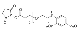 CAS： 1334178-01-6；DNP-PEG12-NHS；分子式：  C37H60N4O20